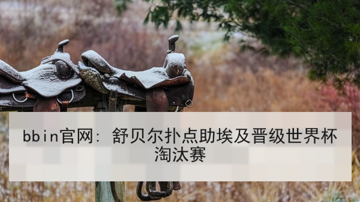 bbin官网: 舒贝尔扑点助埃及晋级世界杯淘汰赛